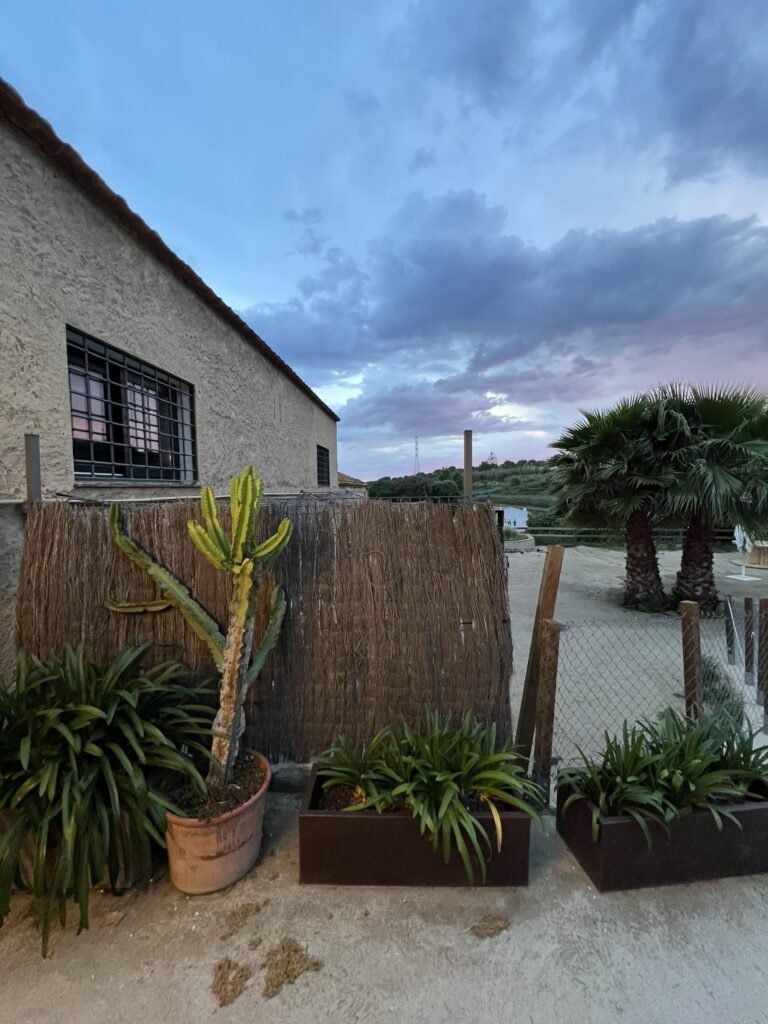 La entrada de Natural Chic de noche