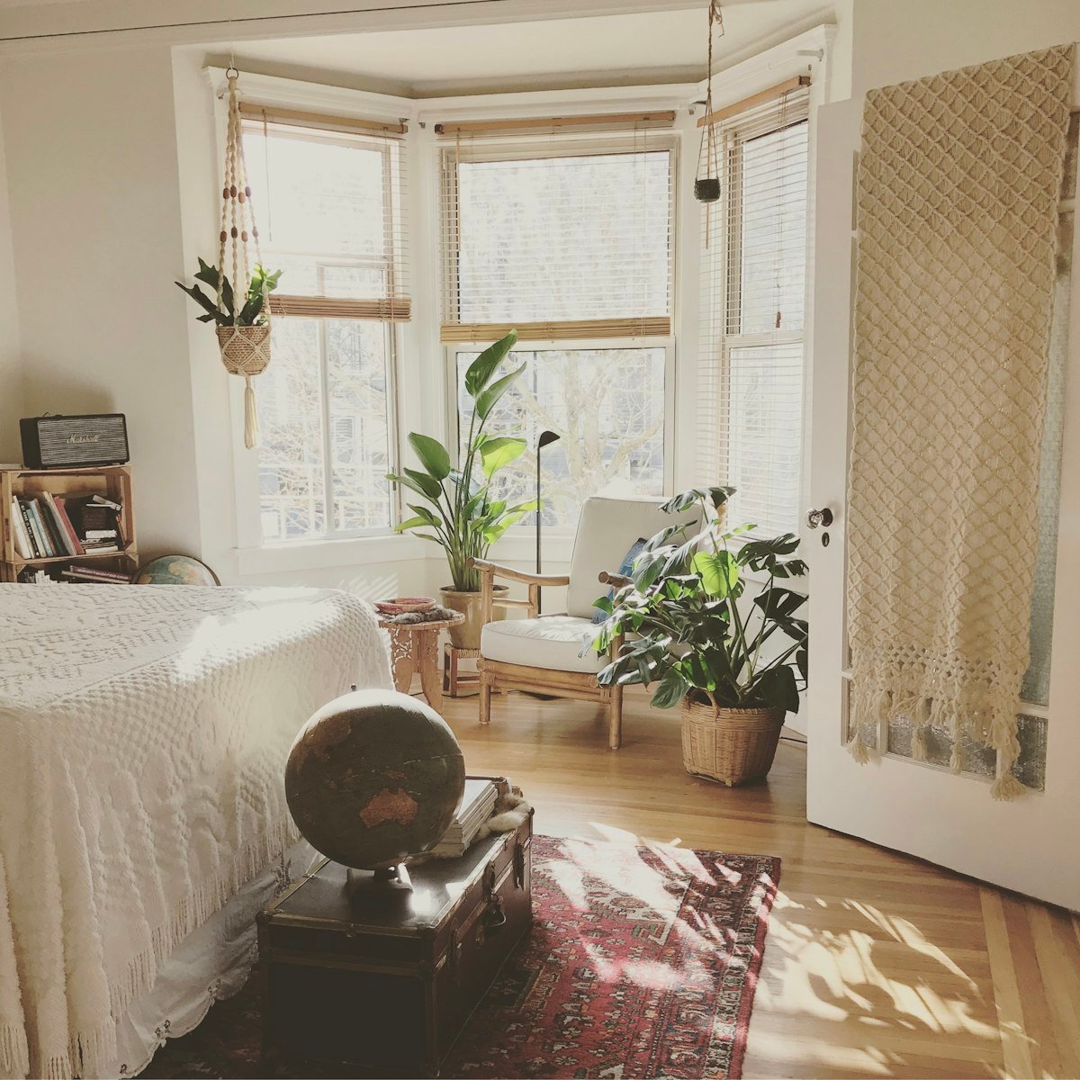 Butaca entre plantas con luz natural