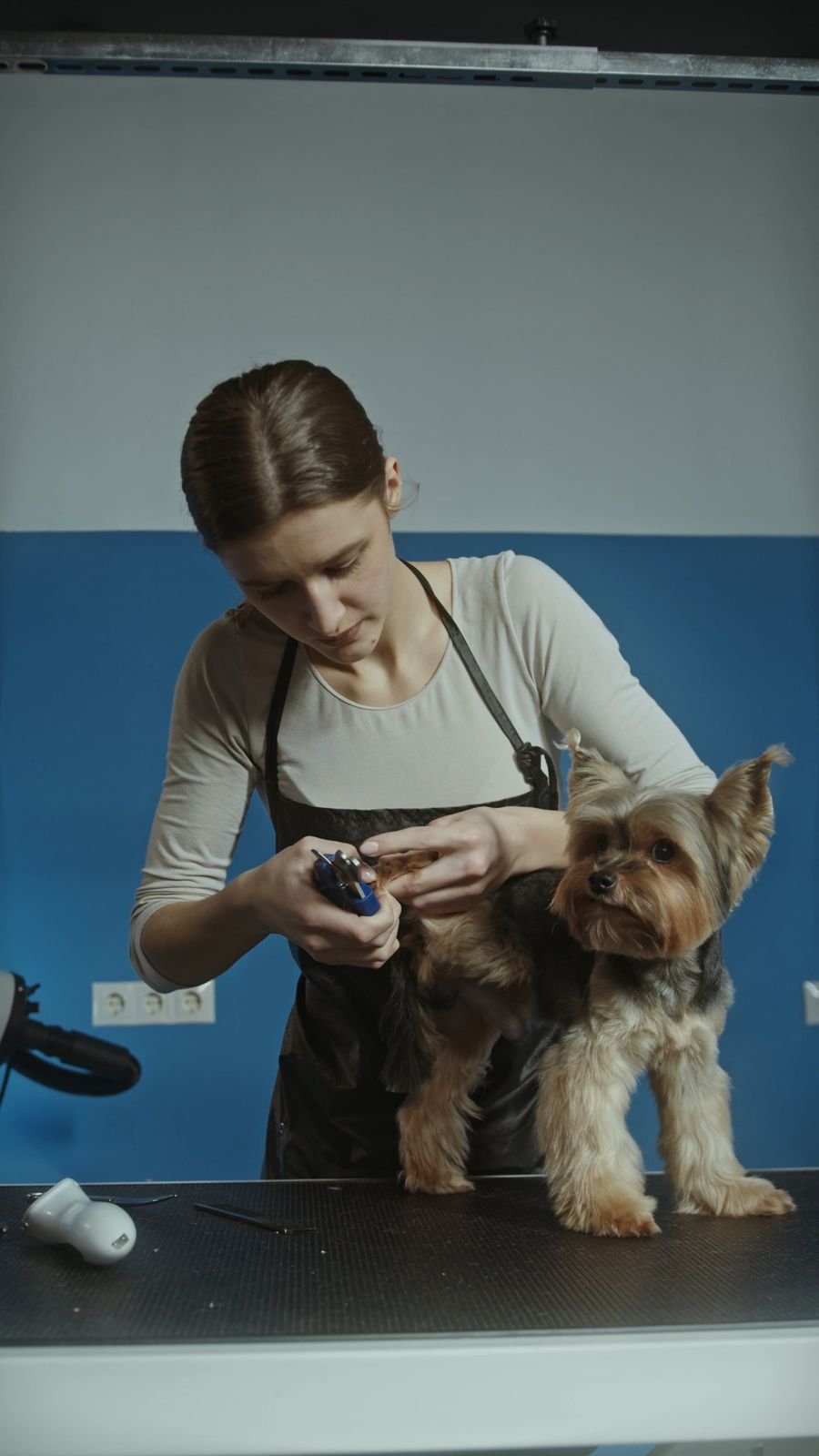 Peluquera cortando las uñas a un perro